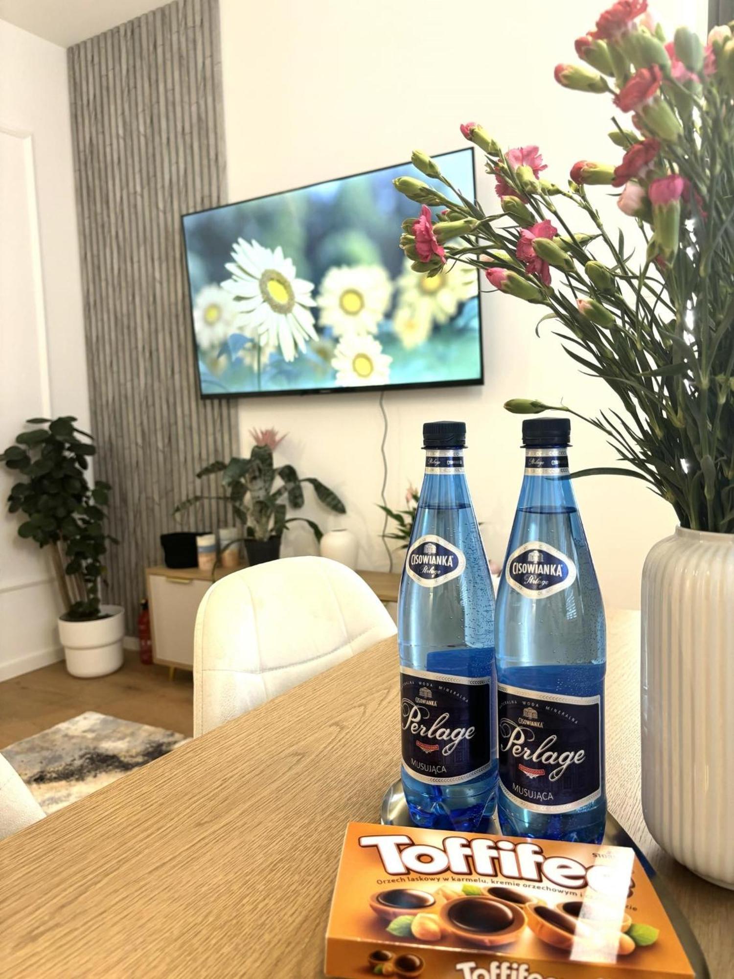 Apartament Pod Wieza 1 Walbrzych Bagian luar foto